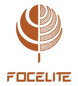 CMIE Incubatees Focelite Goodness India Pvt. Ltd. logo