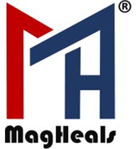 CMIE Incubatees MagHeals Pvt. Ltd.